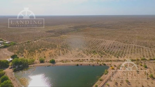 Imagen 5 de 6 de Campo En Venta - Finca Productiva En Mendoza