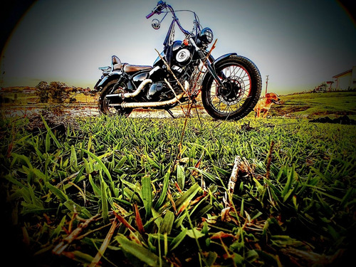 Virago 250cc