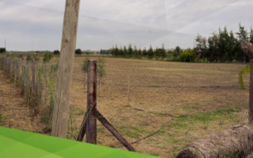 Campo Independencia