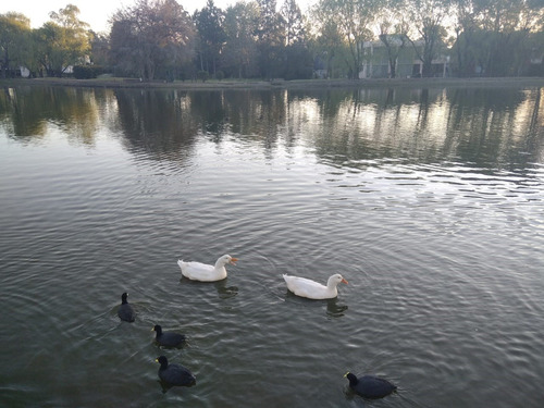 Casa En Alq. Temporario Ubicado En Pilar Del Lago, Pilar, G.b.a. Zona Norte