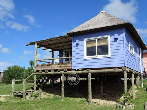 Lo De Lu - Violeta En Punta Del Diablo