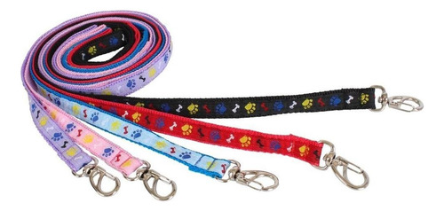 Conjunto Peitoral E Guia Osso E Pata Número 1 D&g