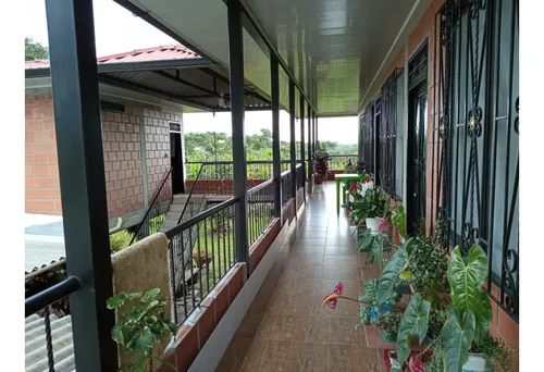 Se Vende Finca Montenegro Quindío