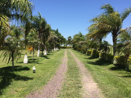 Imagen 2 de 10 de Campo - Formosa - Colonia Herradura - 13.800 Has