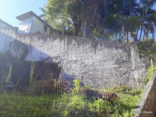 Imagem 4 de 22 de Terreno - 357 - 33381583