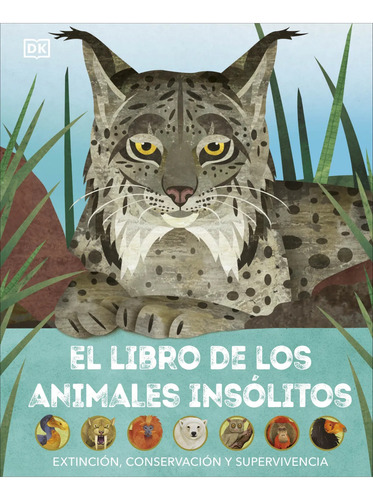 Libro El Libro De Los Animales Insólitos - Dk Dk