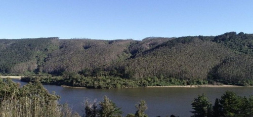 Venta De Campo En Valdivia Id 50.081-cam