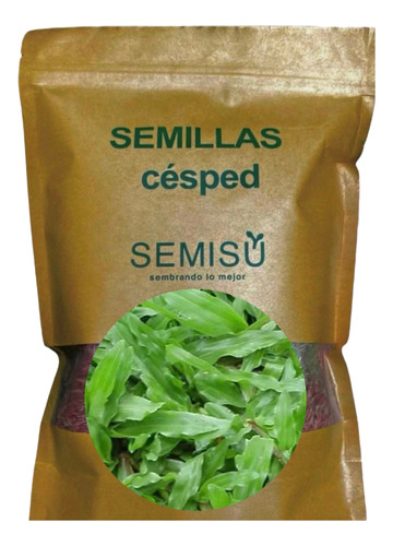 Semillas Césped Axonopus - Ideal Pequeños Jardines - Envíos