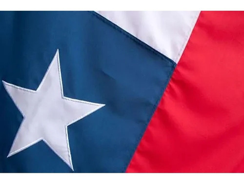 Bandera Chilena 60 X 90cms Trevira Tela Reforzada