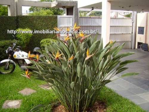 Imagem 2 de 2 de Ótima Localização, Total Infraestrutura De Comércio, Casa Térrea Com Edícula. - 93417 - 4491855