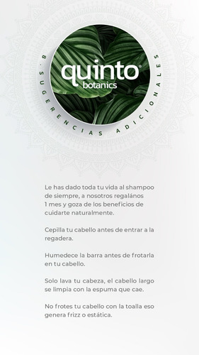 Imagen 3 de 3 de 1 Shampoo Sólido 100% Detox, Anticaida, Crecimiento