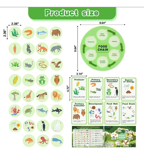 Ciclo De Vida Da Cadeia Alimentar Kit Party Favors Science