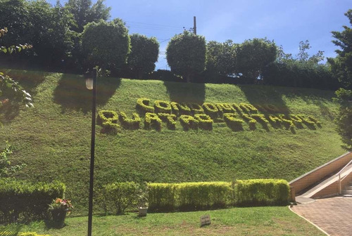 Imagem 14 de 30 de Apto Na Vila Matilde Com 3 Dorms, 1 Vaga, 59m² - Ap13846