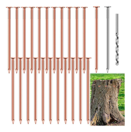 25 Clavos De Cobre Para Matar Árboles, 3,5 Pulgadas De Cobre