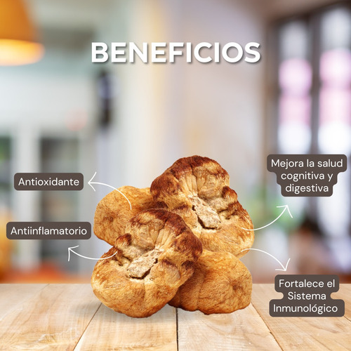 Hongo Melena De Leon Deshidratado 100% | 100grs | Premium Neutro