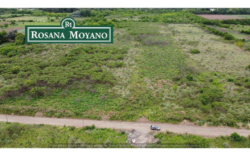 Venta - Campo - 10 Ha - Belén De Escobar