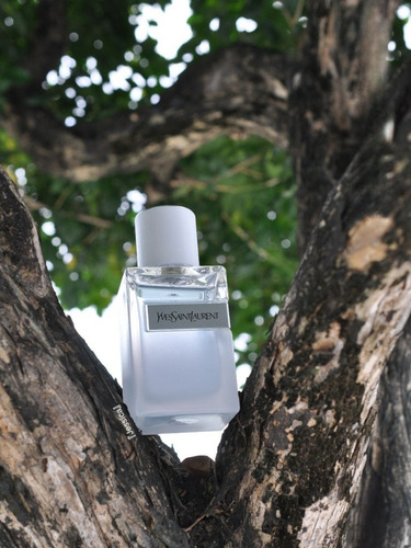 Perfume Ysl Yves Saint Laurent Eau Fraiche Man Edt 100ml