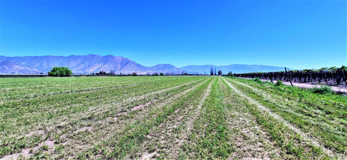 En Venta Parcela En San Rafael, San Felipe, 75.600 M2., En P