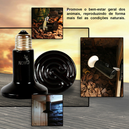 Lâmpada Cerâmica De Aquecimento, Répteis E Aves 110v 100w