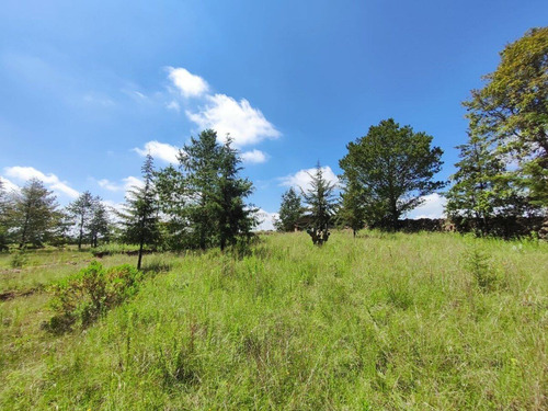 Terreno En Venta En Amealco