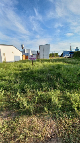 Vendo Terreno 10 X 15