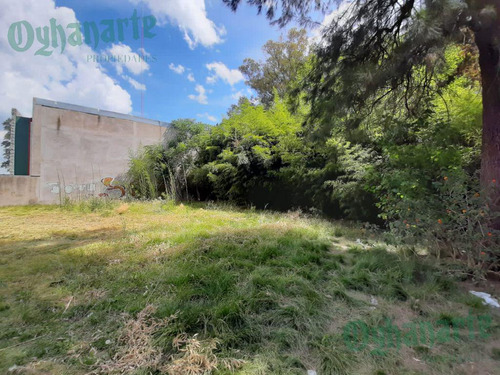Imagen 10 de 10 de Venta - Predio Con Galpón Casa - Sobre Acceso Oeste