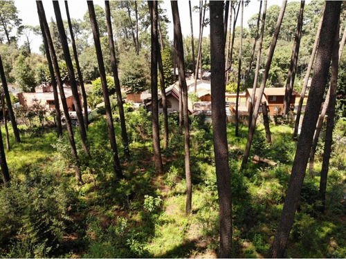 Terreno En Venta, Zona Avandaro
