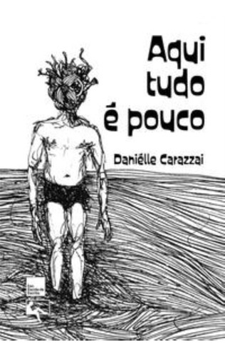 Aqui Tudo É Pouco, De Carazzai, Daniélle. Editora Arte & Letra, Capa Mole Em Português