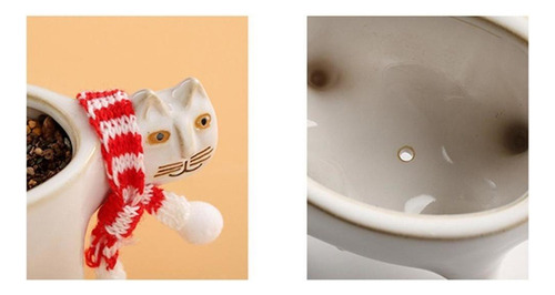 . Suculentas Macetas En Forma De Pegamento For Gatos,