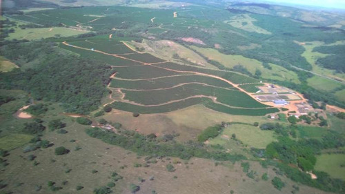 * Excelente Investimento Fazenda Com 390 Hectares * - 21342