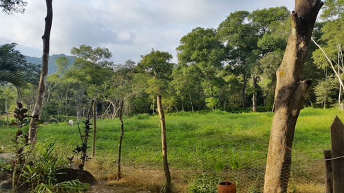 Imagen 1 de 10 de Rancho La Flor