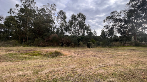 Terreno En Piriápolis (barra De Portezuelo) Ref. 6039