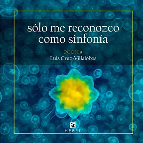 Solo Me Reconozco Como Sinfonia -coleccion Cuadra-tu De Hebe