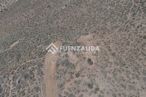 22 Parcelas De 5,000 M2 En Venta El Hinojal,valle De Elqui.