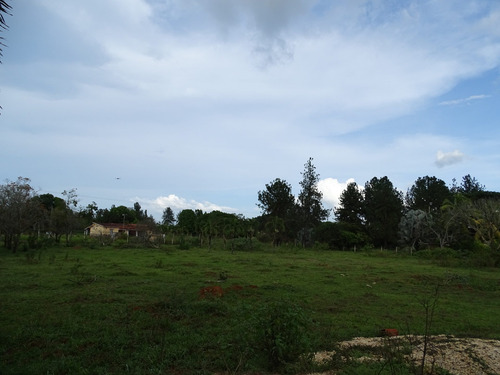 Imagen 7 de 8 de En Venta Terreno Sabana Del Medio Wasi 570674