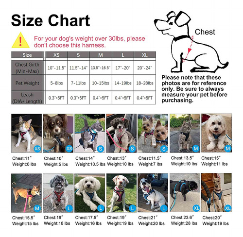 Arnés Para Perros Matilor Step-in Transpirable Para Perros P