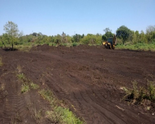 Imagem 8 de 8 de Terreno - Te-17 - 32142492