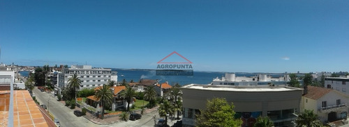 Apartamento En Peninsula, 3 Dormitorios *- Ref: 4768