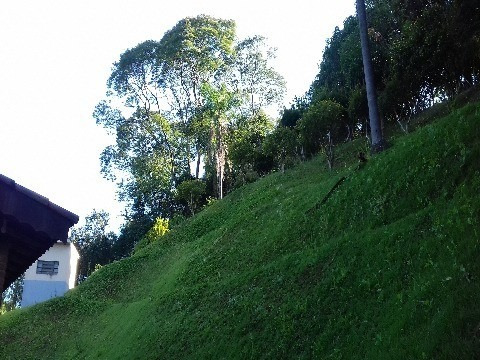 Chacara - Ch00115 - 32152583