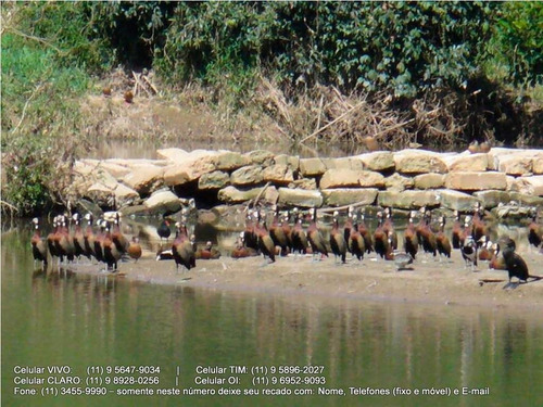 Imagem 25 de 30 de Terreno Para Venda, 0.0 M2, Chácaras Do Peroba - Jandira - 3155