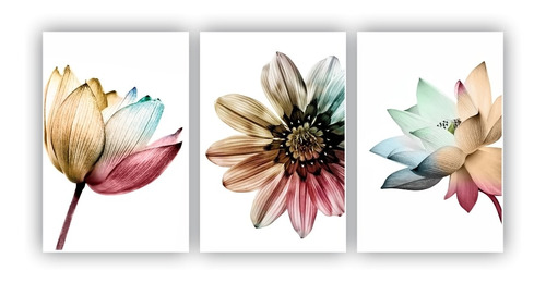 Imagem 1 de 5 de Quadros Decorativos 3 Pçs 20x30 Floral Colorido Flores