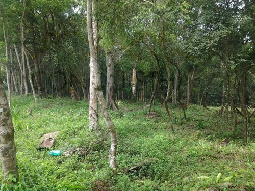 Imagem 1 de 6 de Sitio - Curucutu - Ref: 1428 - V-3551
