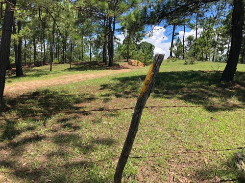 Imagen 2 de 6 de Terreno En Venta El Vergel