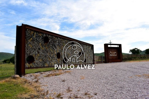 Imagen 11 de 30 de Chacras-venta-cerros-azules-ch071