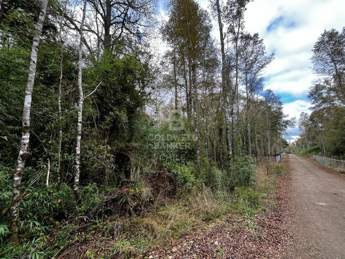 Parcela En Fresia Con Acceso Al Rio Llico