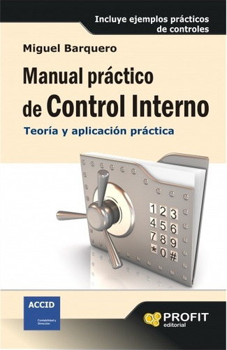 Manual Practico De Control  Interno