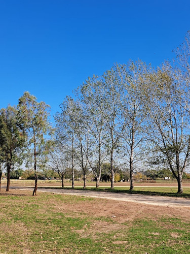 Lotes - Terreno En Venta - Barrio Abierto - Las Merceditas