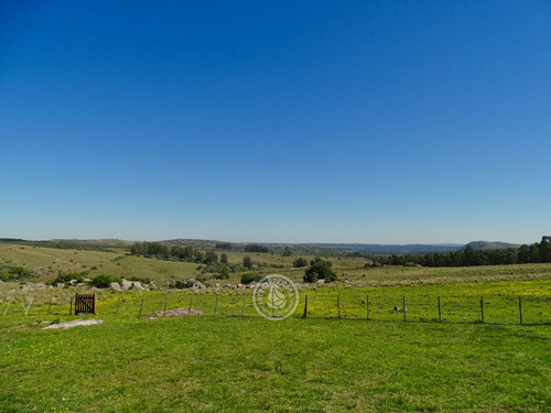 Casa De Campo La Serena, Cerro Pelado - Lavalleja