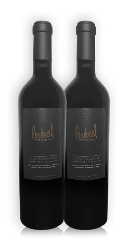 Perdriel Centenario Vino Blend Kit X2u 750ml Norton Mendoza