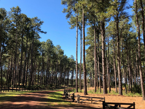Chacras En Venta En El Pinar, Proximo A Carmelo, Fracciones Con Excelentes Vistas, Financiacion